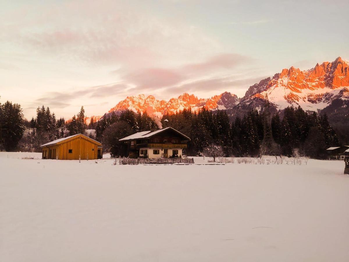 Going Artenreich Going am Wilden Kaiser Esterno foto